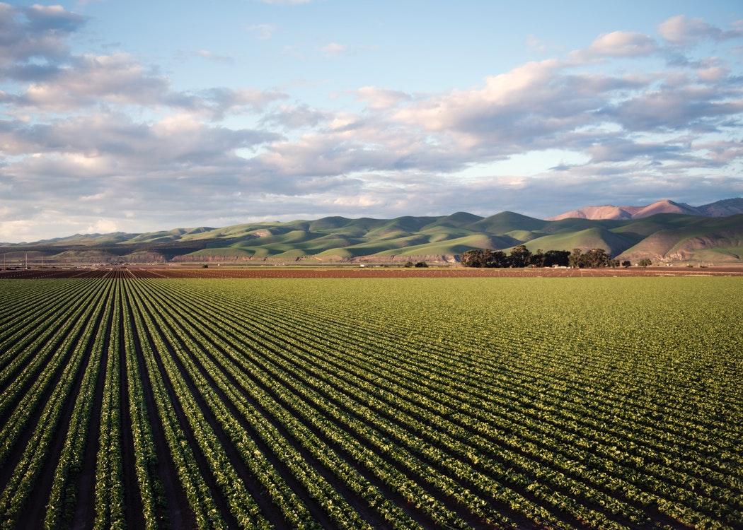 Agriculture